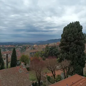 Le First Grasse